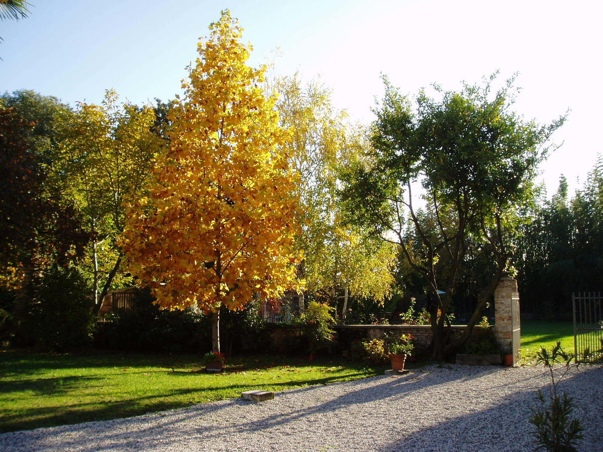 Borgo Palazzo Steffaneo Bed & Breakfast San Vito al Torre Room photo